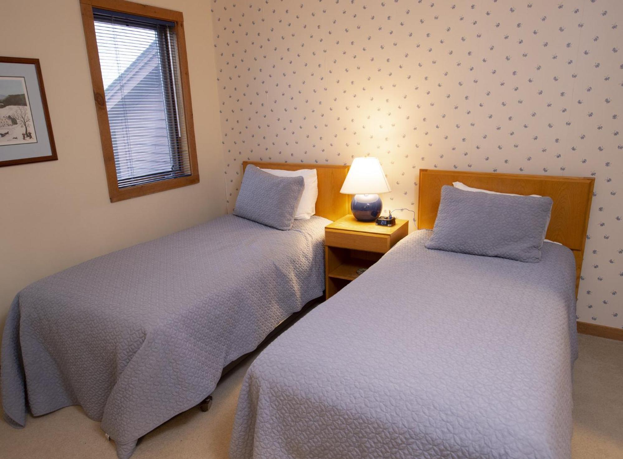 Okemo Mountain Lodging Ludlow Exterior photo